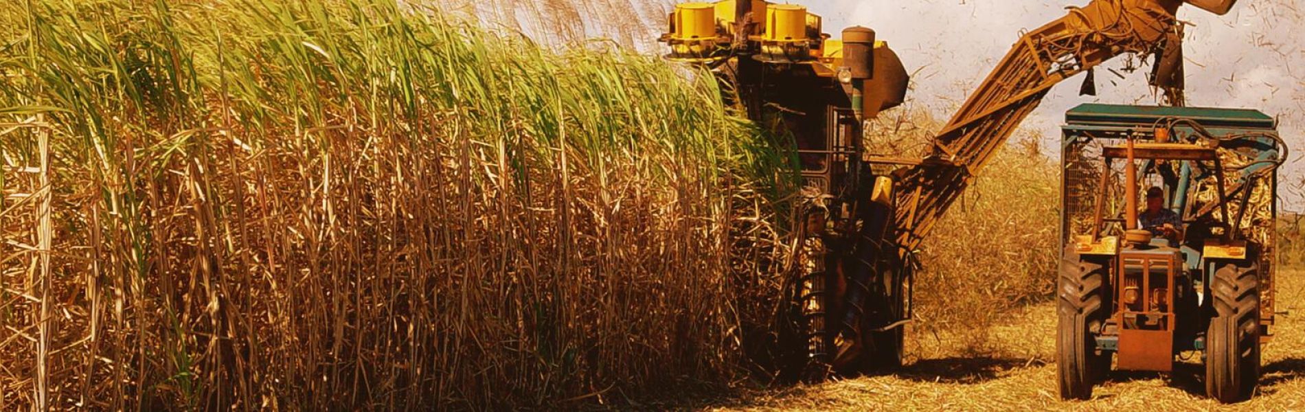 Tractor Batteries North Brisbane Supplier